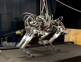 Amazing Things Happening in the World of Robots